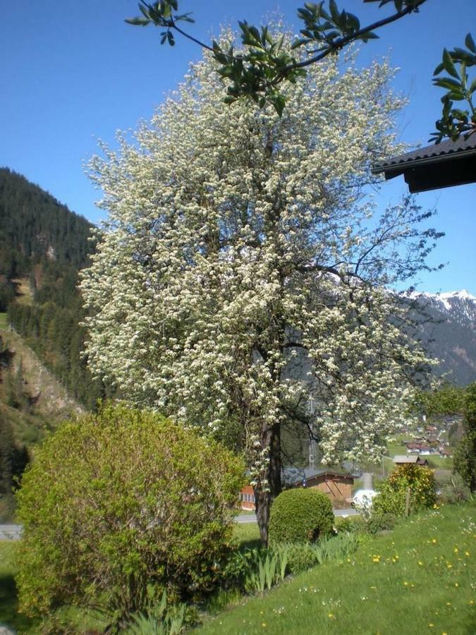 Haus Gant Apartamento Sankt Gallenkirch Exterior foto